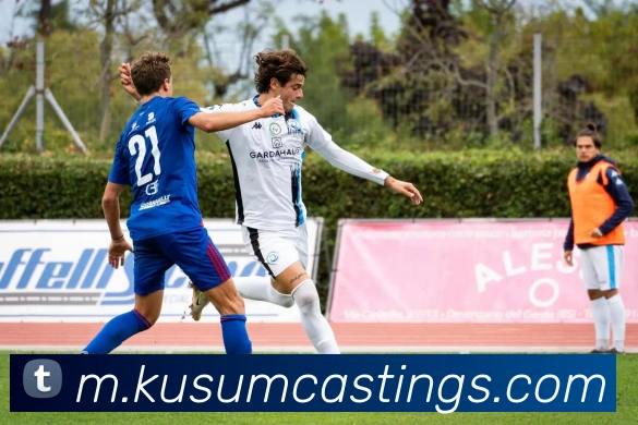 ky体育登入平台生态图